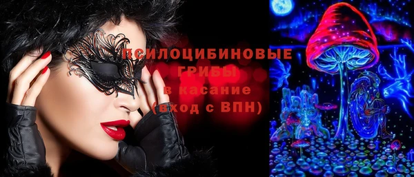 винт Армянск