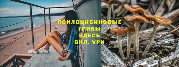 скорость Аркадак