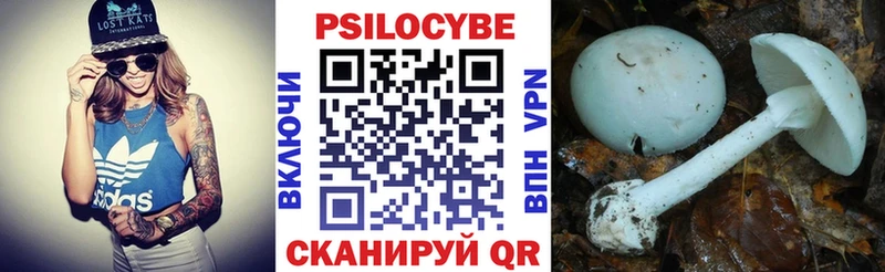 Галлюциногенные грибы MAGIC MUSHROOMS  гидра как зайти  Таштагол 